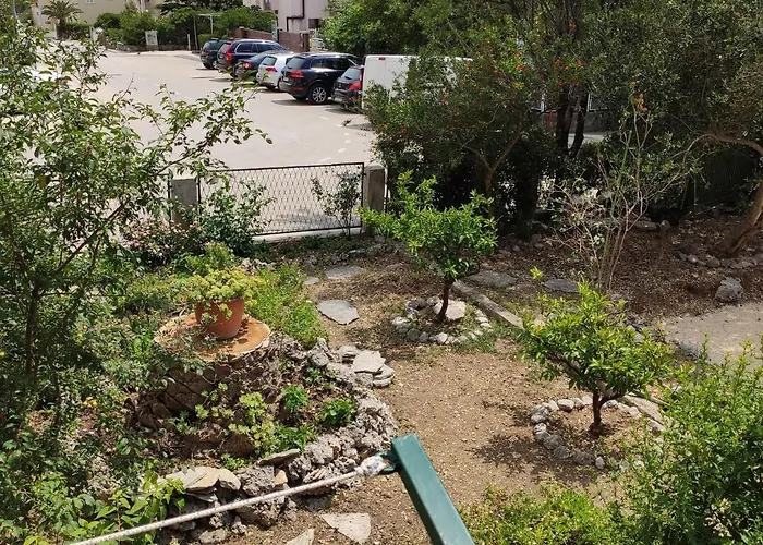 Iv&an * 마카르스카